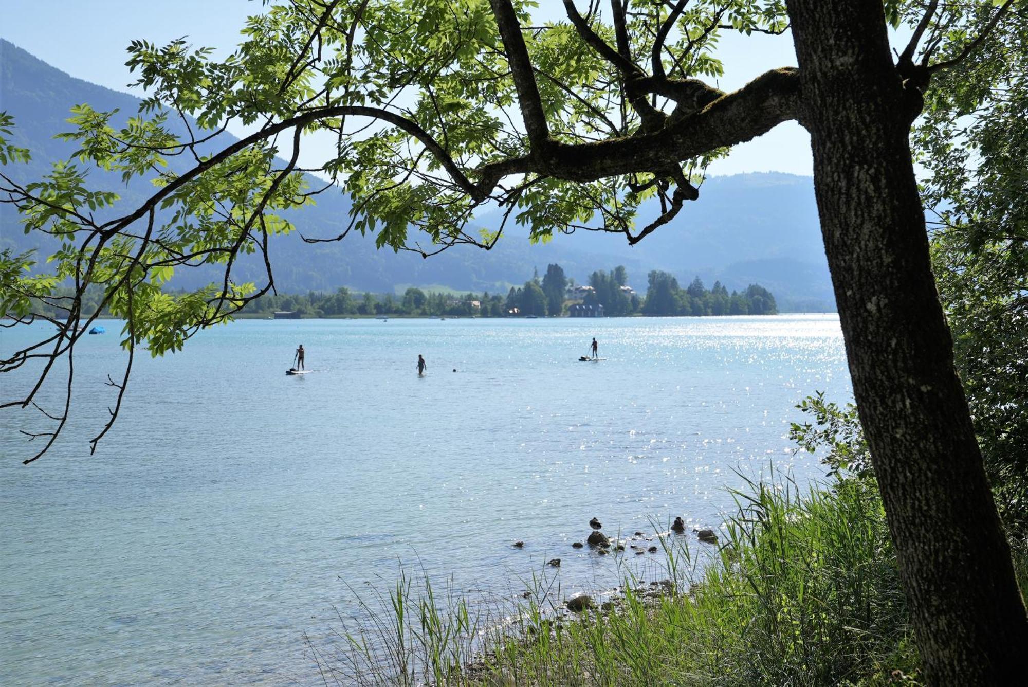 Bergblick 411 Am Wolfgangsee Strobl Zimmer foto